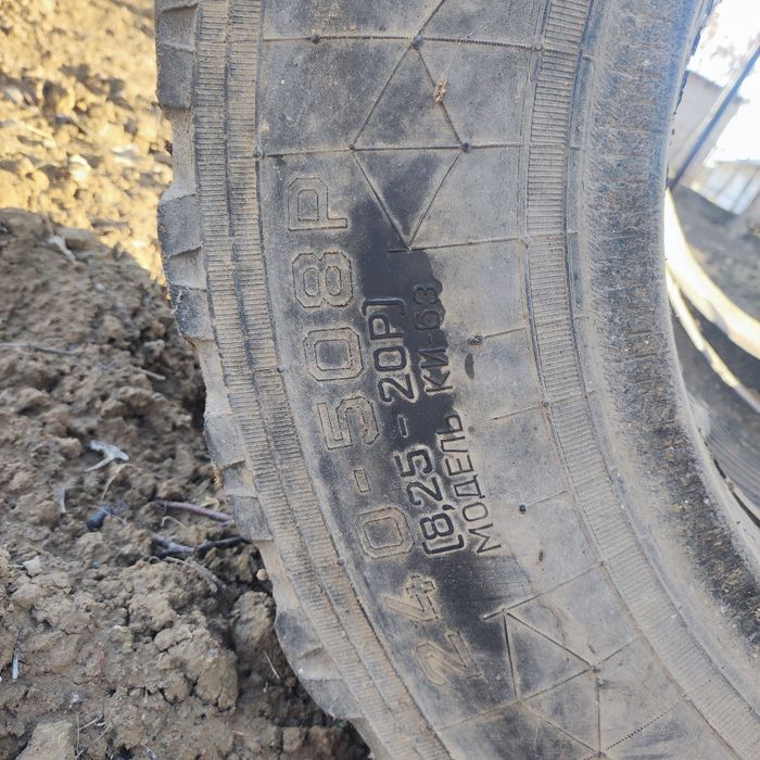 Болон 2штук 60000