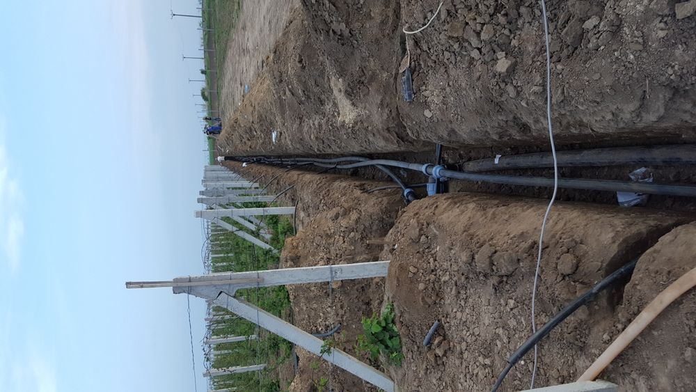 URGENT ..Teren agricol Ferma de mure , zmeura si pomi fructiferi