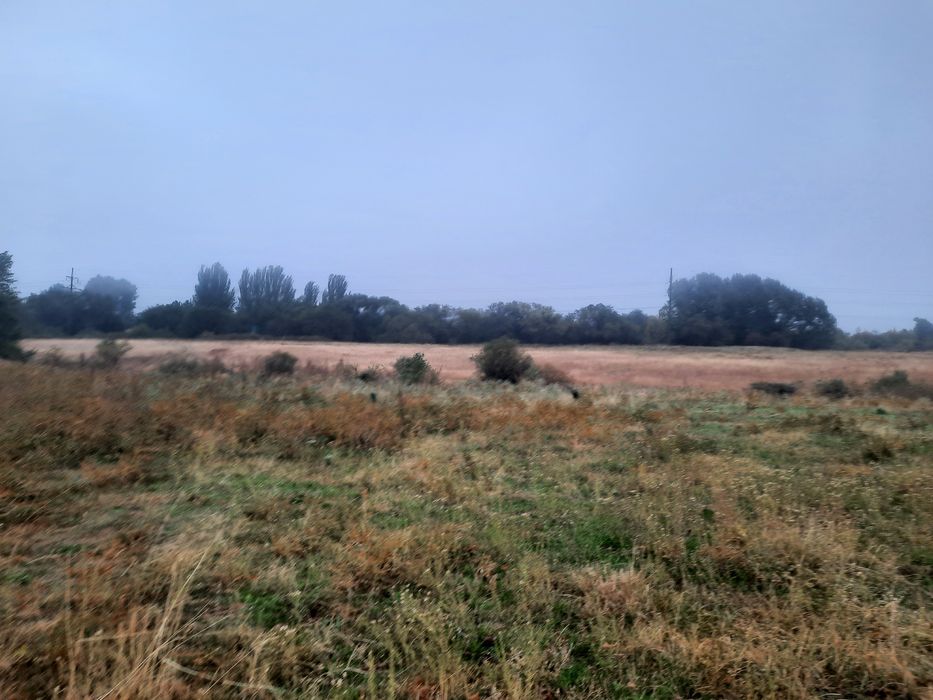 земельный участок