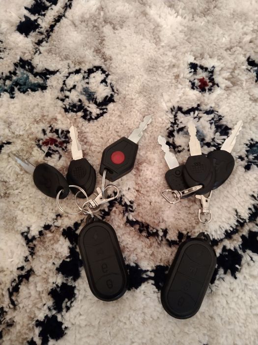 Sotiladi Elektron velik yangiday