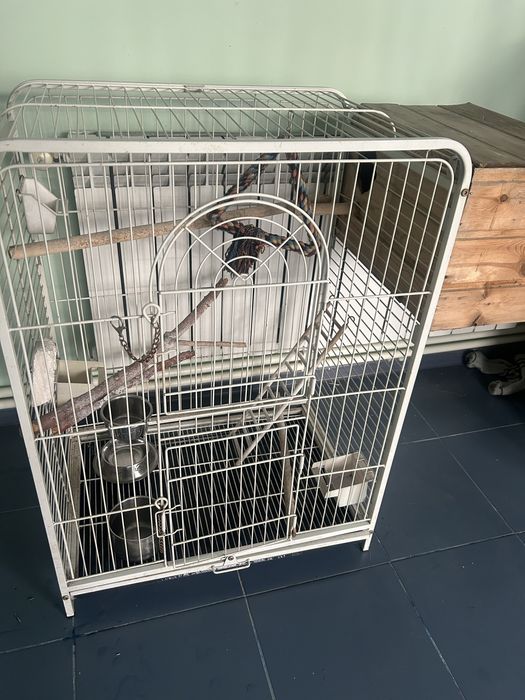 Продам большую клетку для попугаев