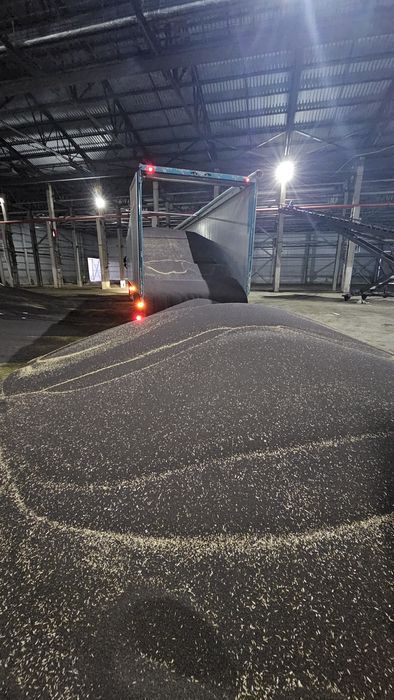 Перевозка сыпучих грузовой!