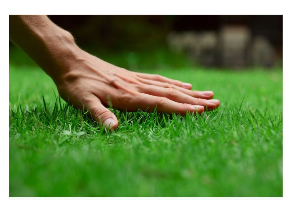 Газон Автополив Ландшафт дизайн