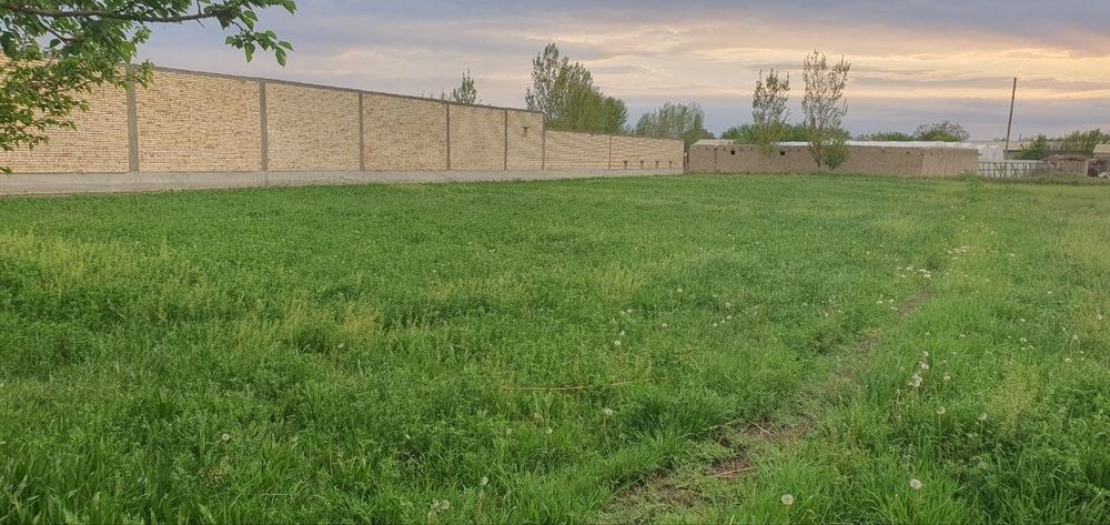 Peshku tumanida er uchaskasi sotiladi