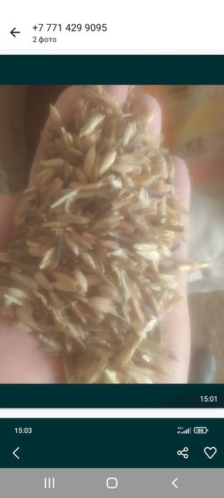 ОТХОДЫ Полова россыпью корма отруби