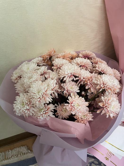 Продам цветы красивые