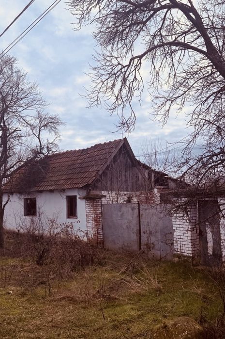 Casa judetul Arad langa Ineu sat Rapsig