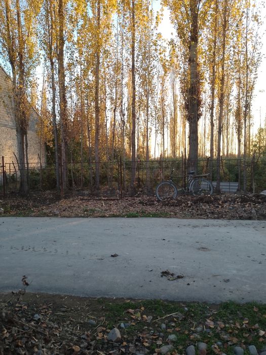 14 сотик Участка ховли жой янгибозор