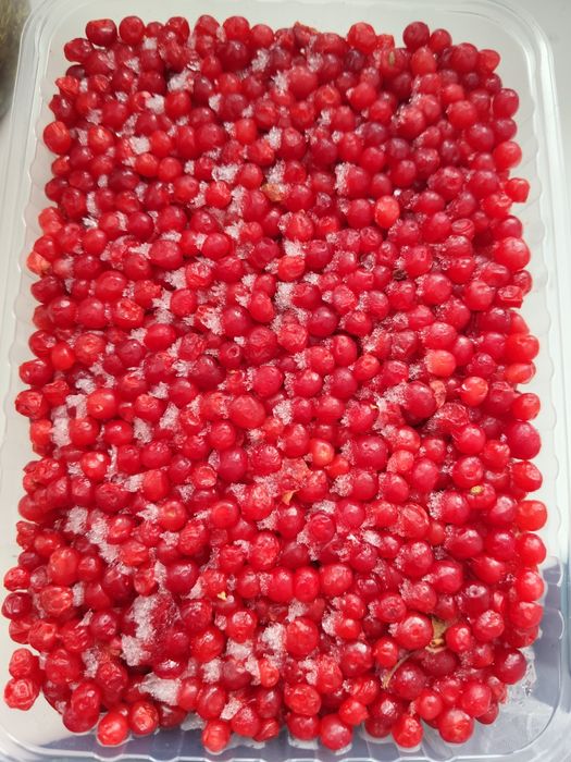 Продам свежемороженую костянку