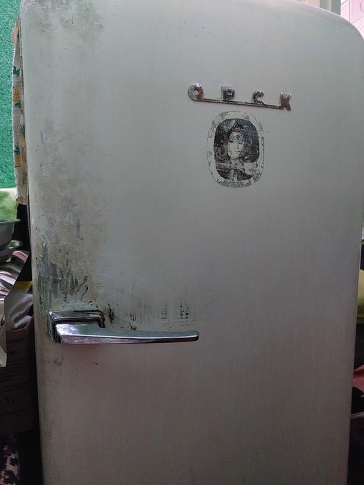 Rassiskiy xaladilnik sotiladi