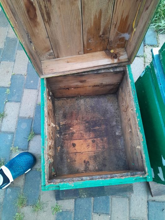 Vand 5 lazi de albine