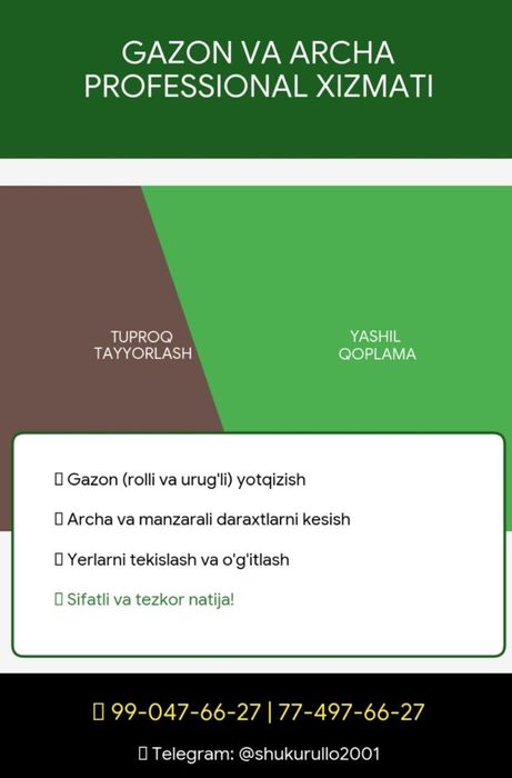 Gazon archa landshaft dizayni