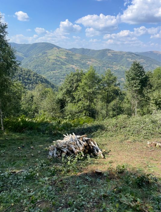 Teren Cabana, Muntele rece, Cluj, Intravilan, accept plata 2 rate