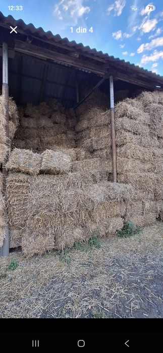 Vând baloți de paie