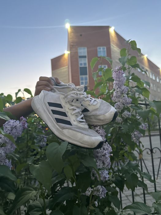 Продаю кросовки Adidas белые
