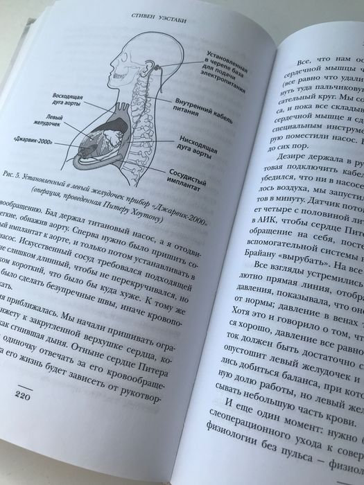 Книга Хрупкие жизни