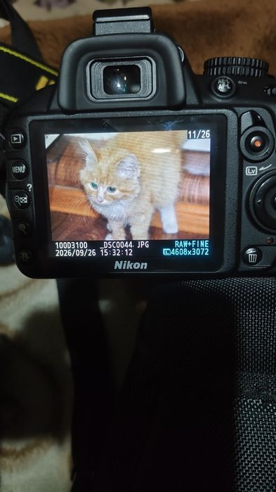 Фотоаппарат Никон Nikon D3100