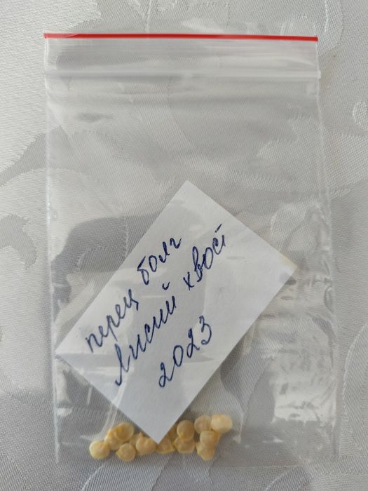 Продам семена сортового болгарского перца.