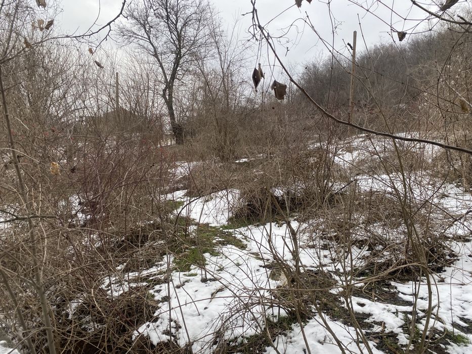 Продава се Заведение в с. Калипетрово, Област Силистра - 750 кв.м за 46 €/кв.м - Снимка #6