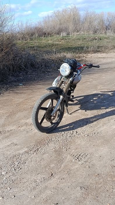 Racer Tiger 150-23