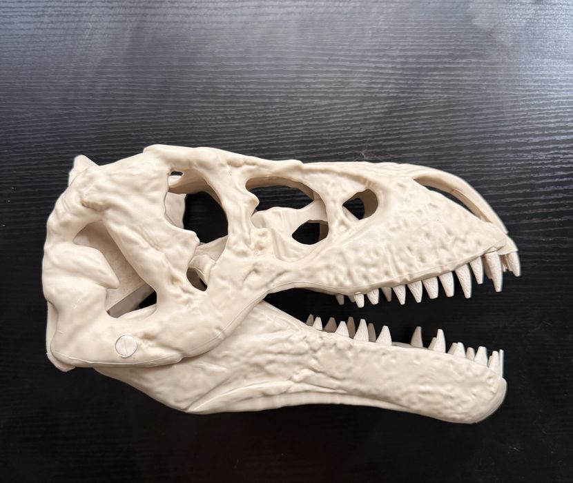 Craniu dinozaur