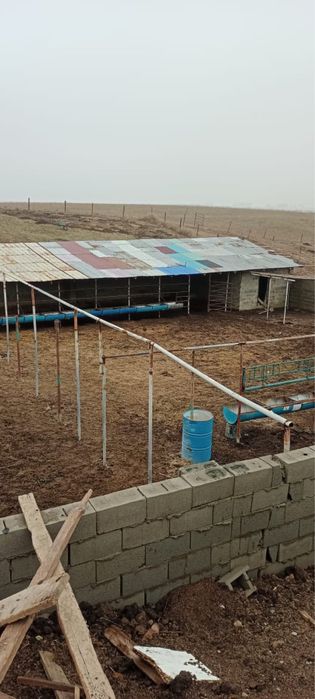 Срочно продам готовый фазенда