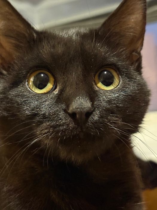 Мальчик 3-4 месяцев