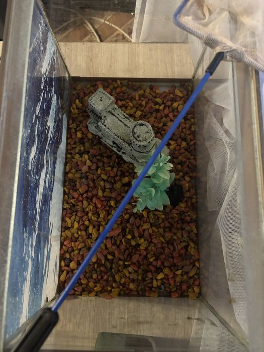 Аквариум,обьем 16 литров