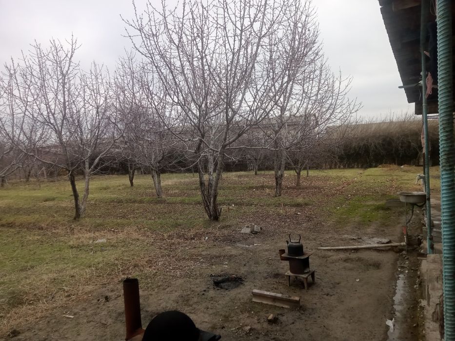 10 sotx yer sotiladi