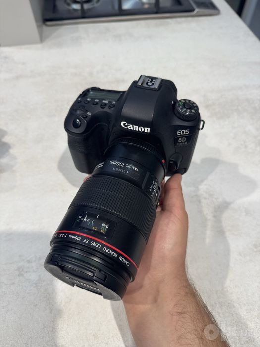 Canon 6D Mark II 100 macro