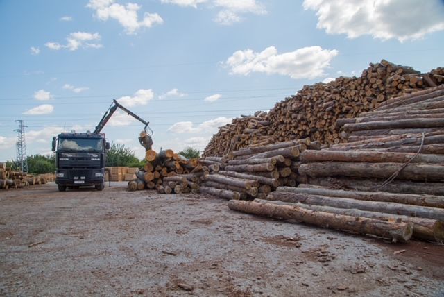 Продава се Промишлена сграда в Търговище, Промишлена зона - 5460 кв.м за 363 €/кв.м - Снимка #7