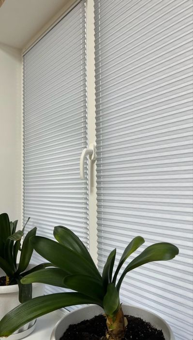 Жалюзи. Плиссе. Ролл шторы