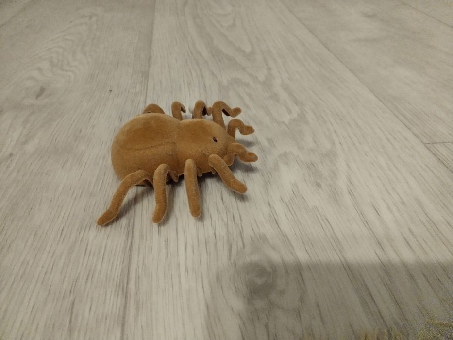 Паук игрушка на колесиках