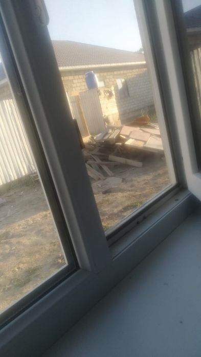 Отдам даром агаш