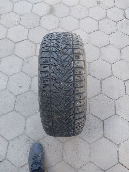 Шины продам WINTERHAWK