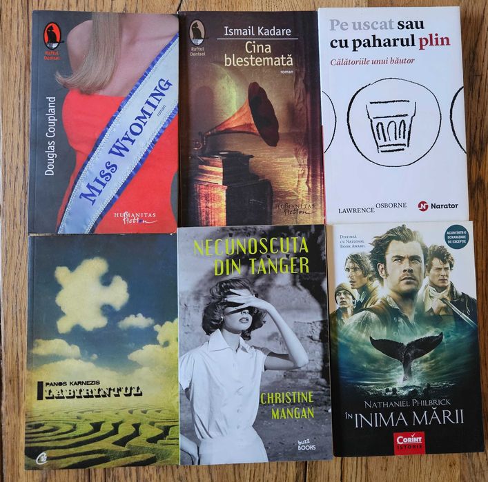 Carti literatura contemporana