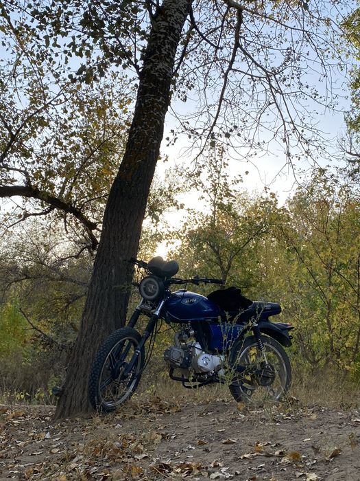 Мотоцикл Альфа рх 110