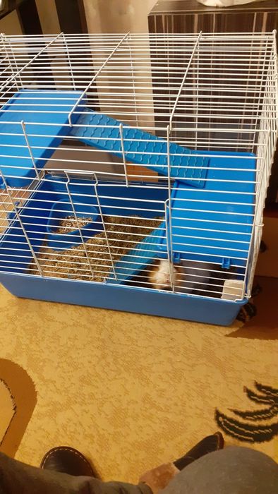 Клетка для питомца.