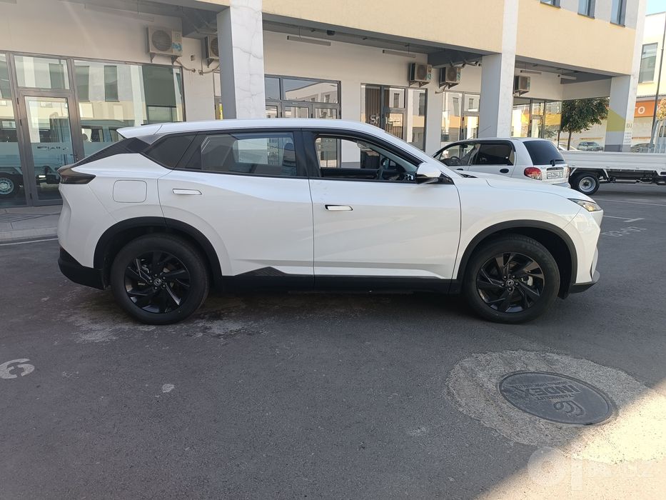 Dongfeng sky ev01