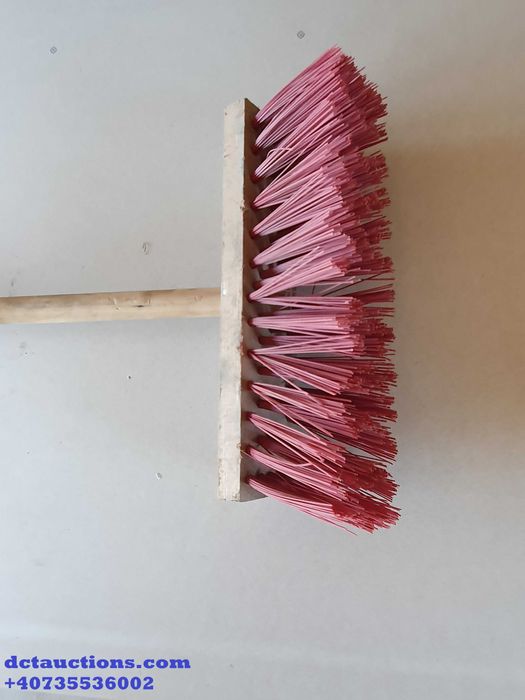 Matura plastic, rigida - lot 8-21-17