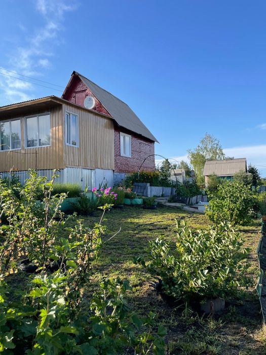 Дача. Летний дом