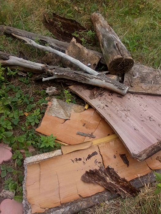 Дрова бесплатно большой объем