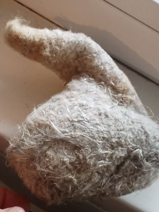 Гнездо ремеза лечебные