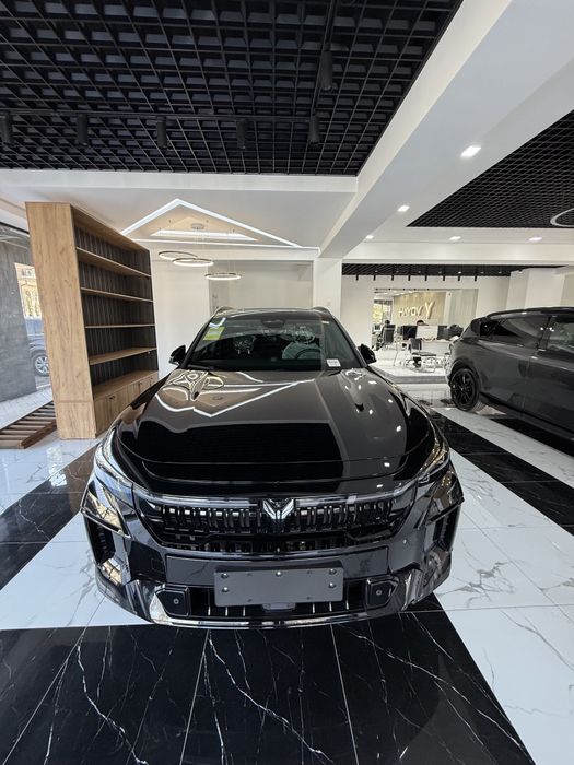 Voyah Free 318  Apollo tech