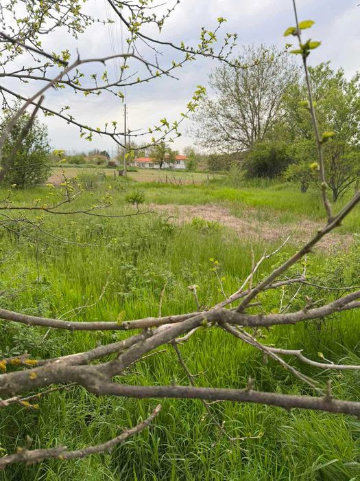 Парцел в село Братя Даскалови до ток и вода