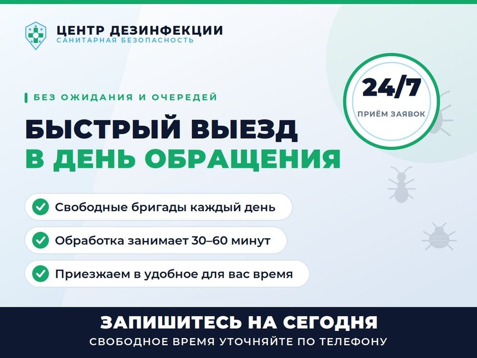 Уничтожение крыс и мышей. Обработка квартир, домов бизнеса. Талгар 3/3