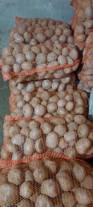 Vând cartofi de consum