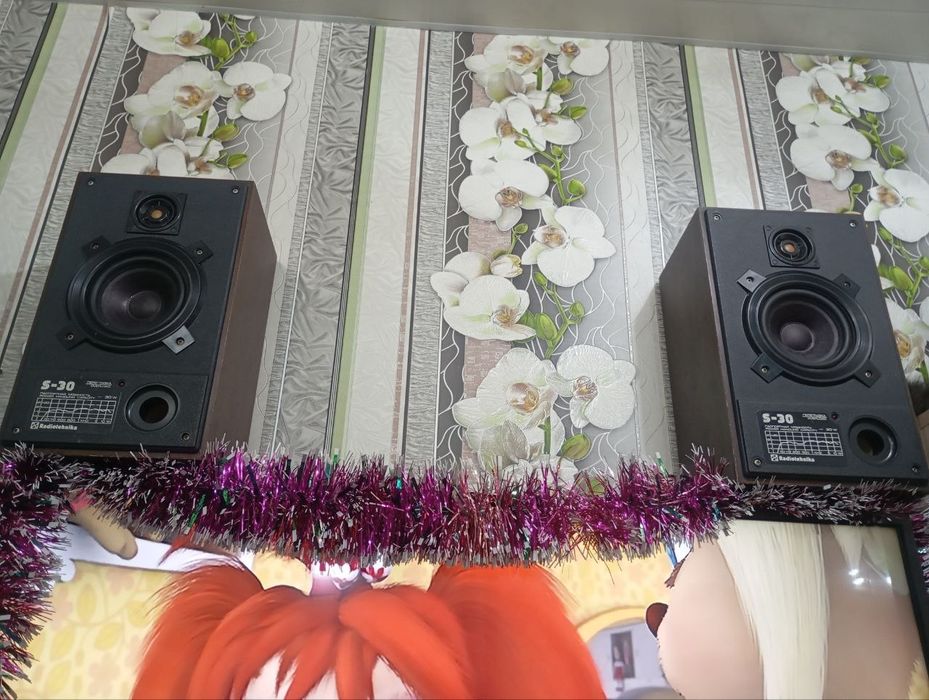 Колонки  радиотехника s30 и усилитель вега