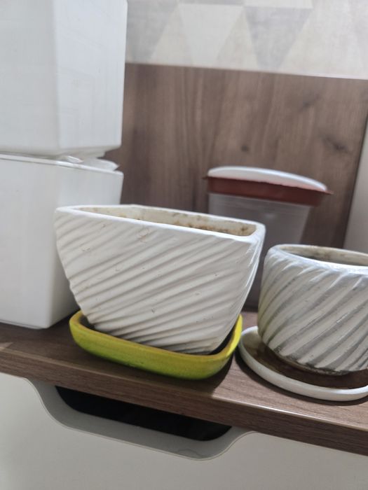 Горшки для растений