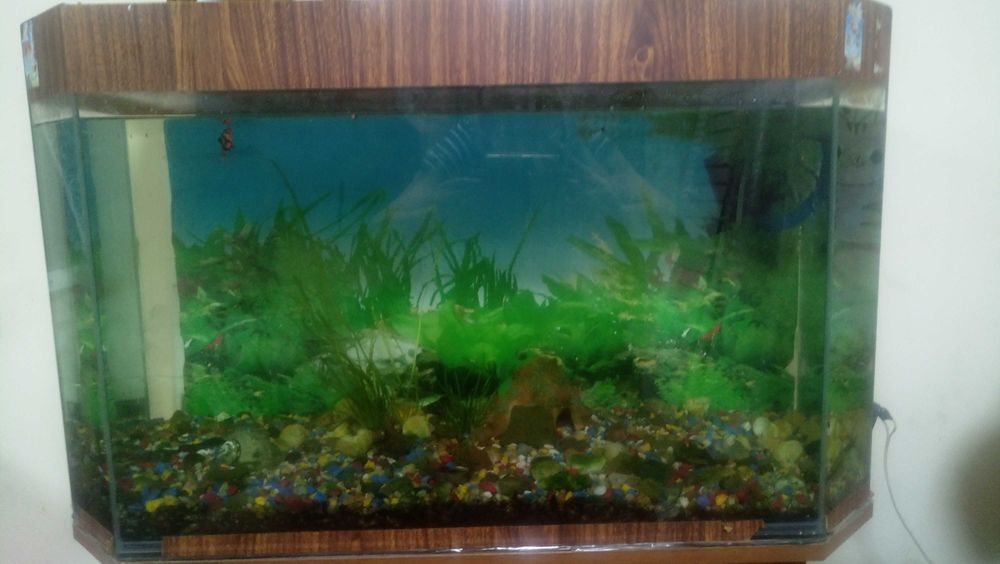 Аквариум с тумбой